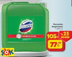 DOMESTOS DAĞ ESİNTİSİ